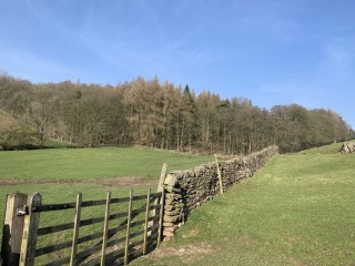 Bolton-Abbey-3
