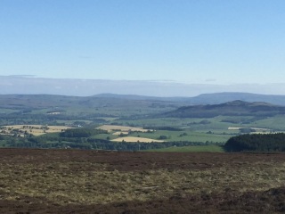Craven