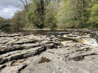 Stainforth Foss