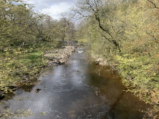 River Ribble
